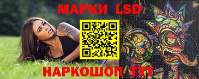 индика Тверь