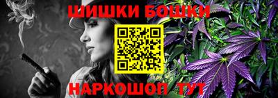 индика Тверь